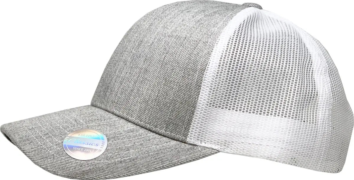 CLASSIC 6 PANEL MESH BACK