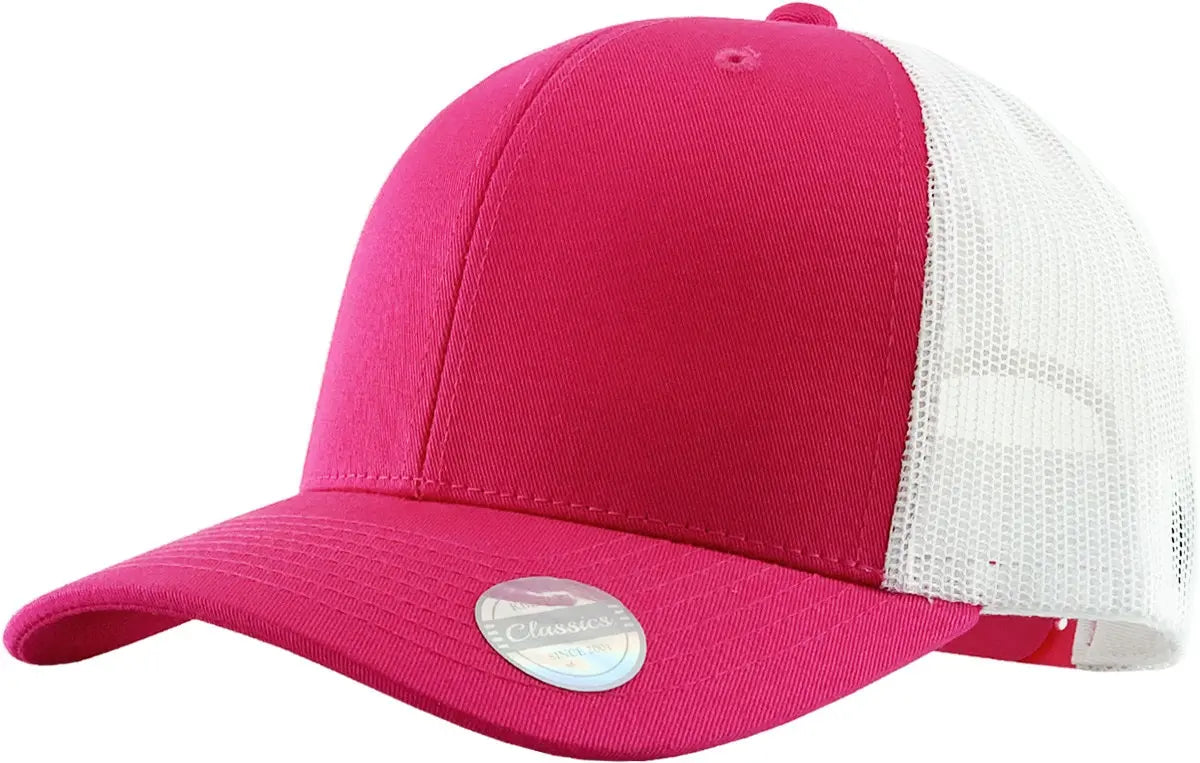 CLASSIC 6 PANEL MESH BACK