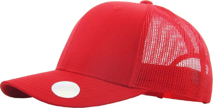 CLASSIC 6 PANEL MESH BACK