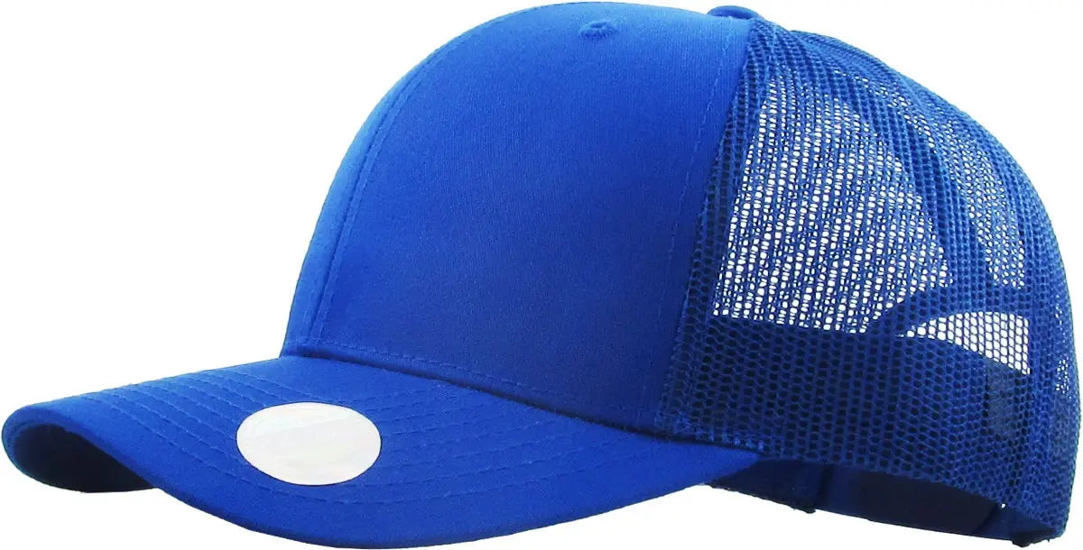 CLASSIC 6 PANEL MESH BACK