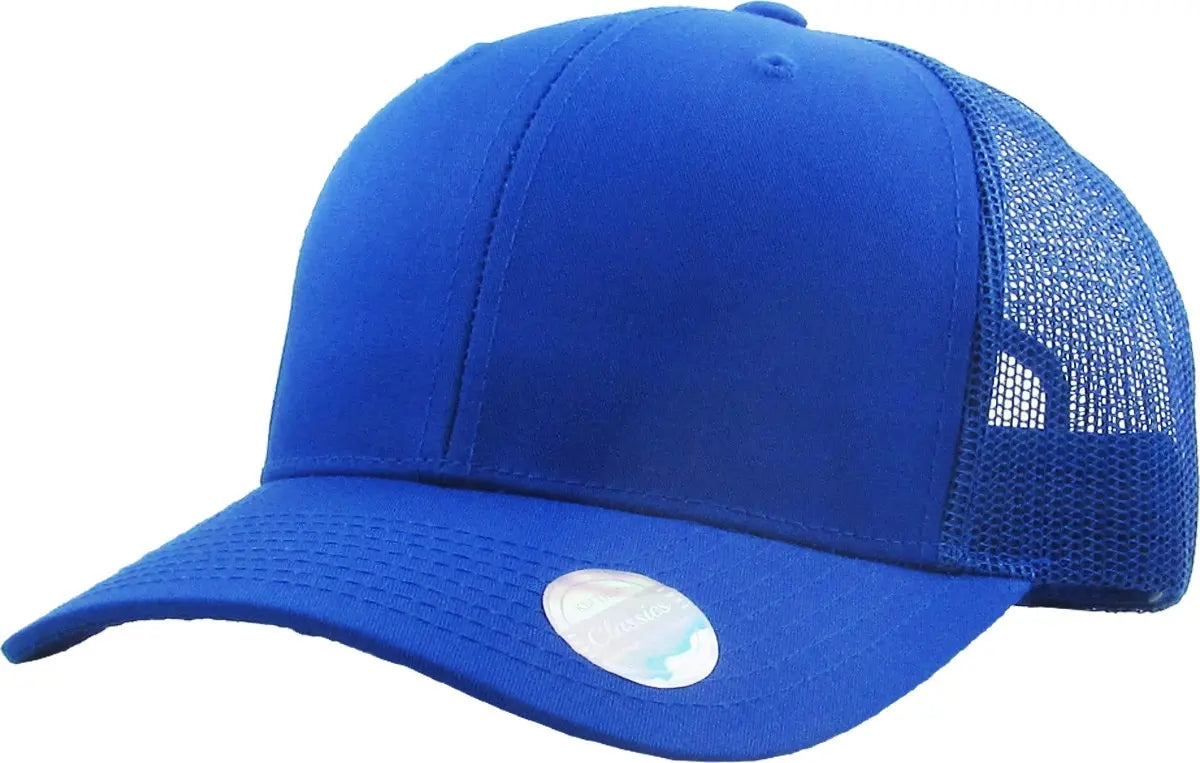 CLASSIC 6 PANEL MESH BACK