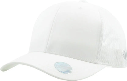 CLASSIC 6 PANEL MESH BACK