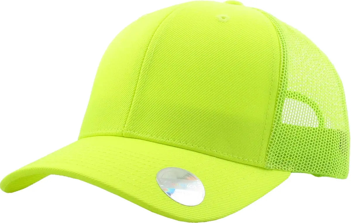 CLASSIC 6 PANEL MESH BACK