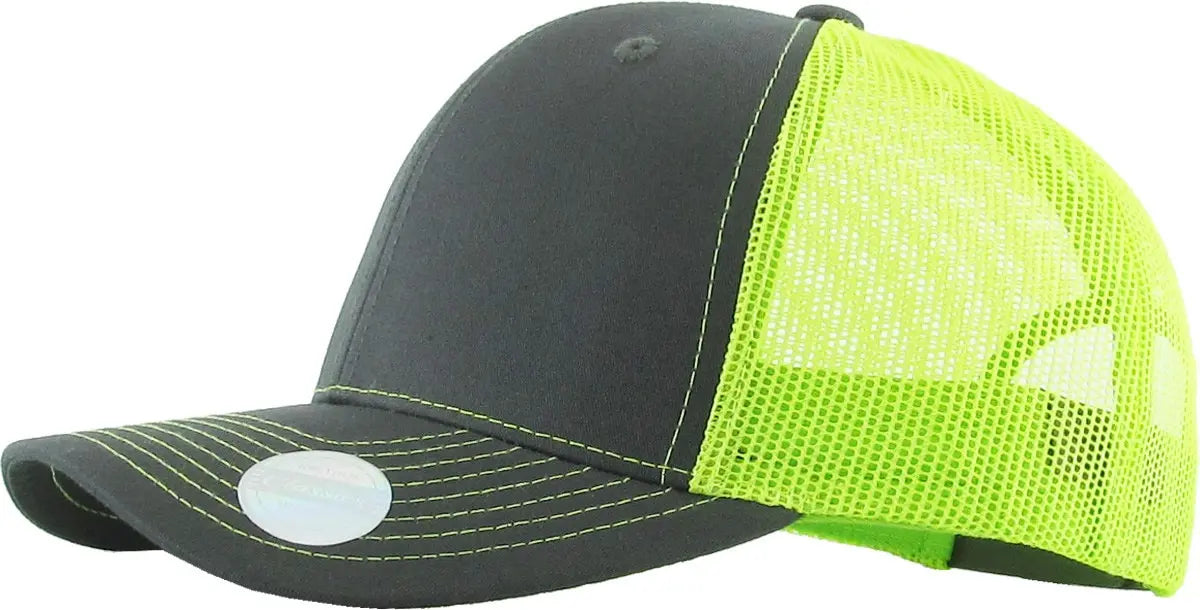 CLASSIC 6 PANEL MESH BACK