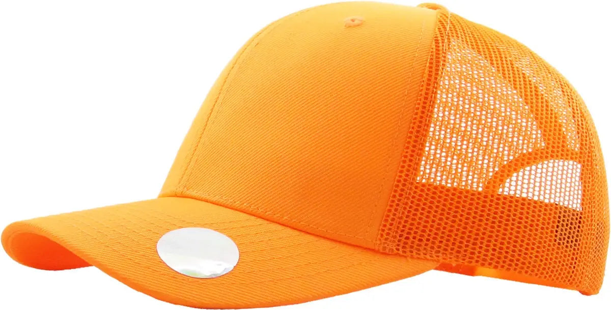 CLASSIC 6 PANEL MESH BACK