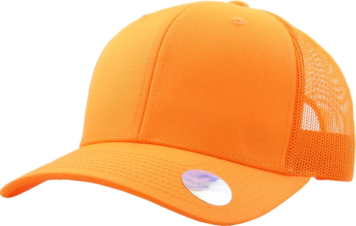 CLASSIC 6 PANEL MESH BACK