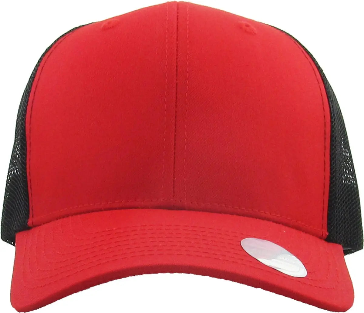 CLASSIC 6 PANEL MESH BACK