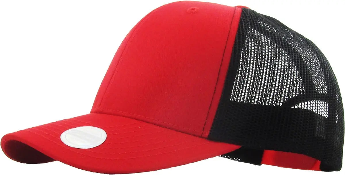 CLASSIC 6 PANEL MESH BACK