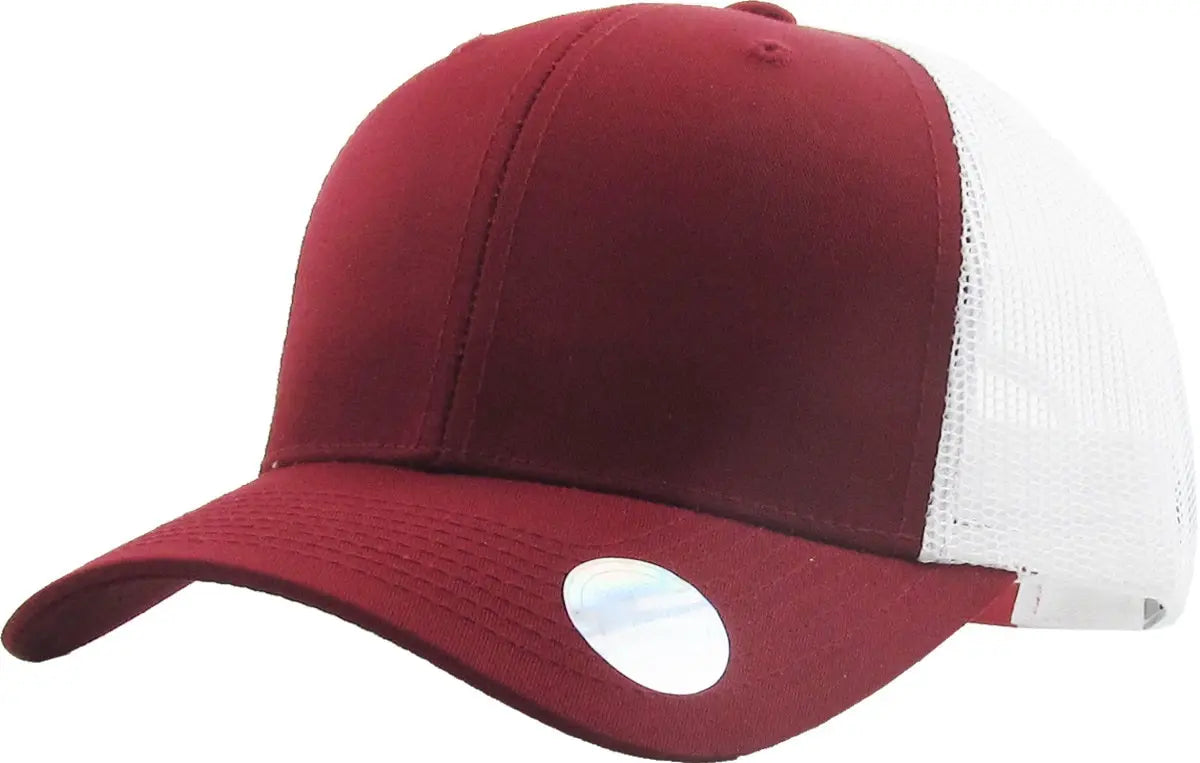 CLASSIC 6 PANEL MESH BACK