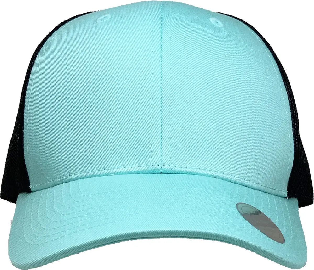 CLASSIC 6 PANEL MESH BACK