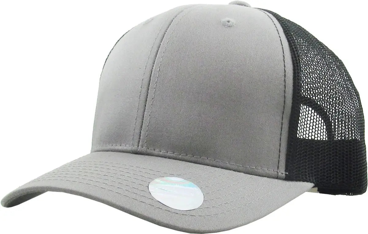 CLASSIC 6 PANEL MESH BACK