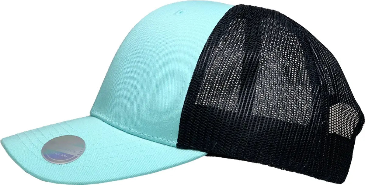 CLASSIC 6 PANEL MESH BACK