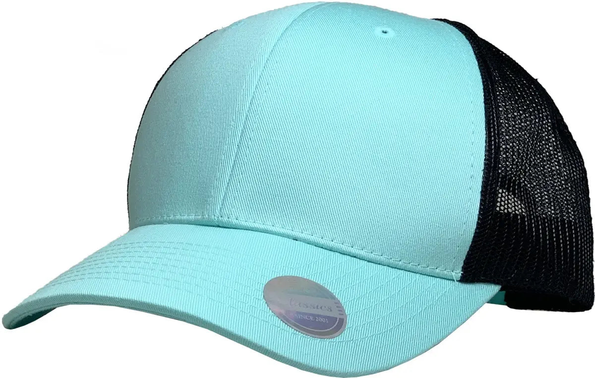 CLASSIC 6 PANEL MESH BACK