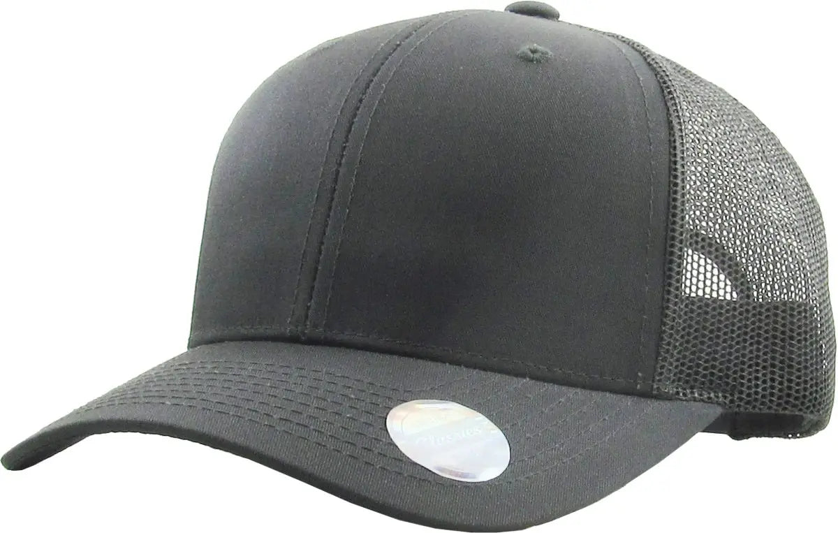 CLASSIC 6 PANEL MESH BACK